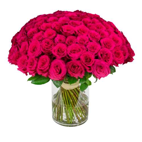 Bouquet of pink roses